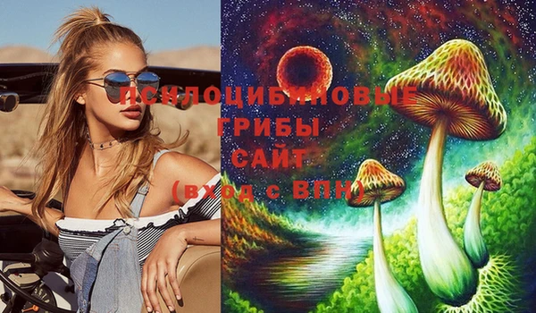 бошки Михайлов