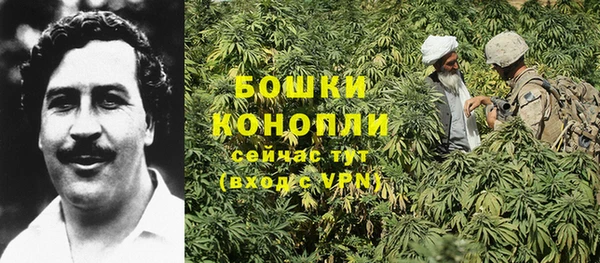 бошки Михайлов