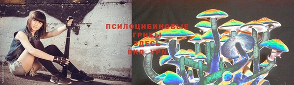 apvp Михайловка